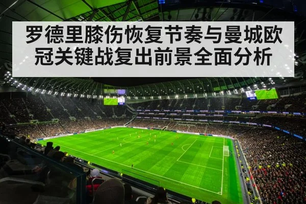 champions league stadium night match
